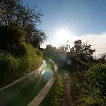Casa Do Avo Arco da Calheta (Madeira)