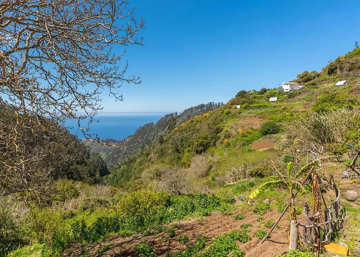 Casa Do Avo Сasa de vacaciones Arco da Calheta (Madeira)
